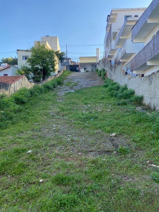 Terreno Rua Raimundo Mattiuzzo São Paulo - 