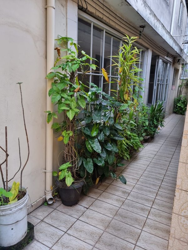 casa Rua Nossa Senhora da Apresentação São Paulo - 