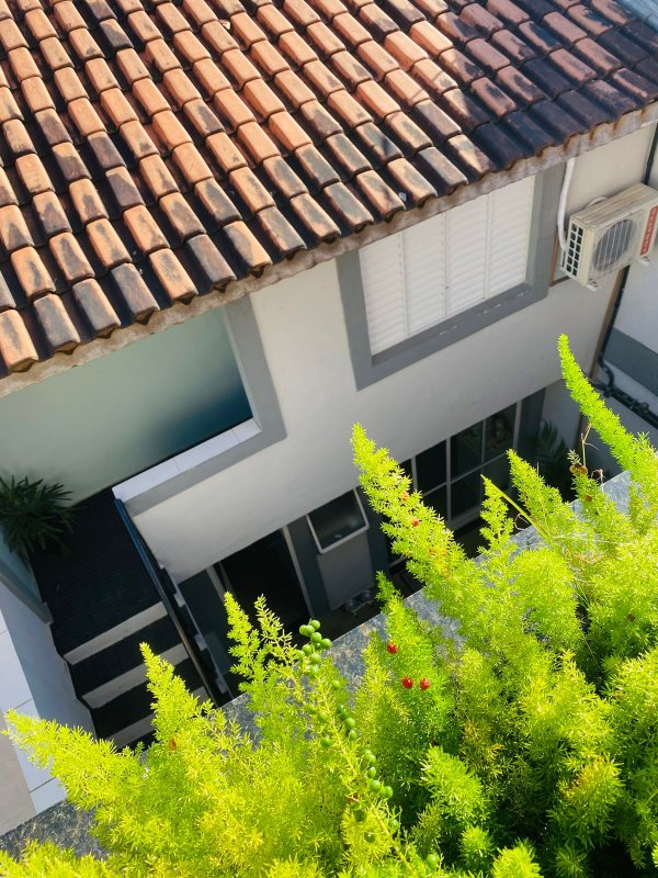 casa Rua Alfredo Abrantes São Paulo - 