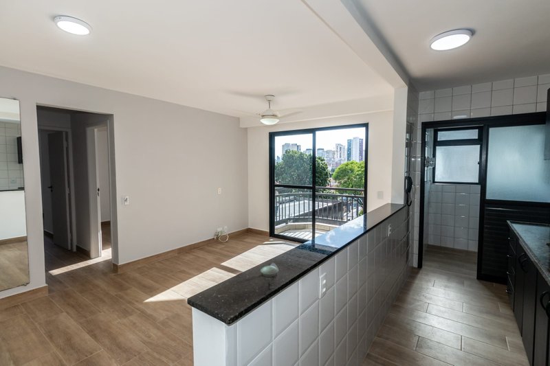 VENDO LINDO APARTAMENTO REFORMADO 60M2 - 2 QUARTOS - 1 VAGA - NOVÍSSIMO!! Rua das Fiandeiras São Paulo - 