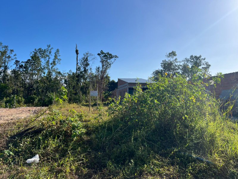 🏡 Terreno à Venda no bairro Golfinho!!!  Caraguatatuba - 