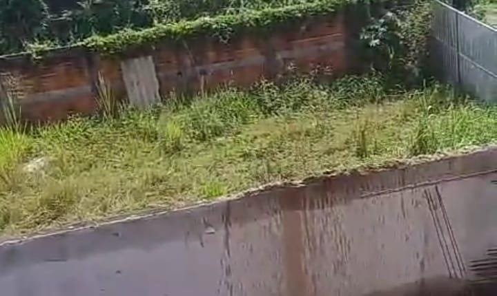 🏡 Terreno à Venda – Golfinho  Caraguatatuba - 