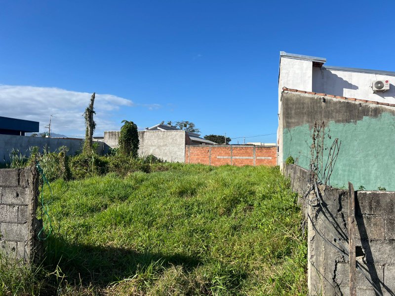🏡 Terreno à Venda – Golfinho  Caraguatatuba - 
