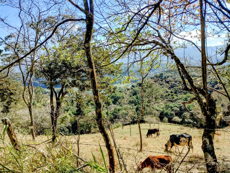Sítio com piscina e cachoeira à venda próximo à represa de Nazaré Paulista  Nazaré Paulista - 