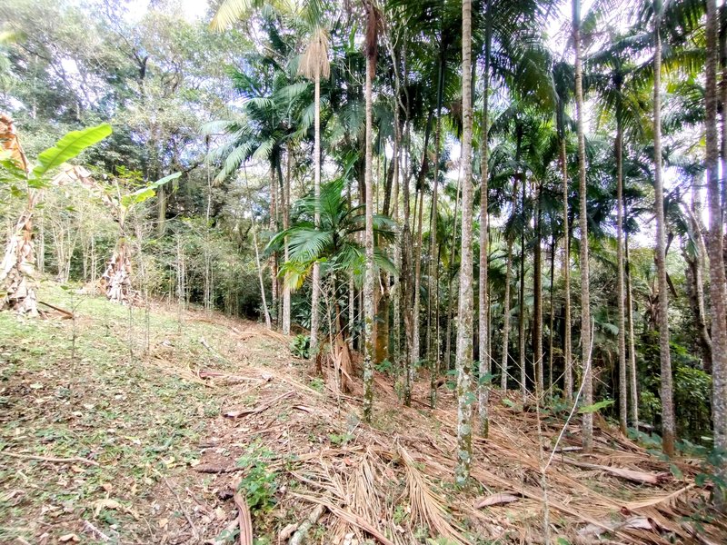 Sítio com piscina e cachoeira à venda próximo à represa de Nazaré Paulista  Nazaré Paulista - 