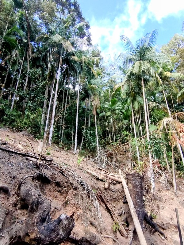 Sítio com piscina e cachoeira à venda próximo à represa de Nazaré Paulista  Nazaré Paulista - 