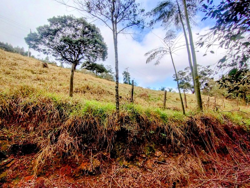 Sítio com piscina e cachoeira à venda próximo à represa de Nazaré Paulista  Nazaré Paulista - 
