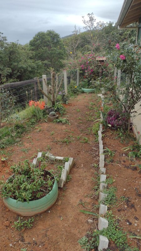 Sitio no bairro Timbé em Tijucas SC Rua Alameda Tijucas - 