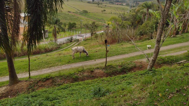 Sitio no bairro Timbé em Tijucas SC Rua Alameda Tijucas - 