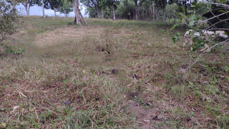 Sitio no bairro Timbé em Tijucas SC Rua Alameda Tijucas - 