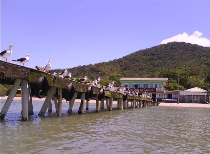 Prédio Comercial e Residencial na praia de Caieira do norte Governador Celso ramos SC Rua Nicolau moura de Carvalho  Governador Celso Ramos - 
