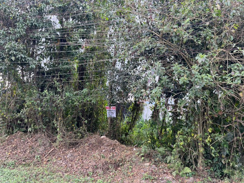 🏡 Terreno à Venda— GOLFINHO  Caraguatatuba - 