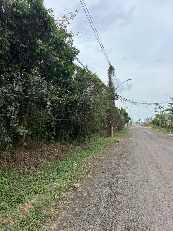 🏡 Terreno à Venda— GOLFINHO  Caraguatatuba - 