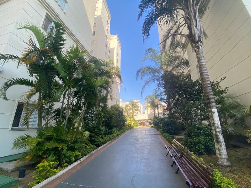 Apartamento 66,85m² no Jardim Vergueiro 3 dorm 1 vaga Avenida Padre Arlindo Vieira São Paulo - 