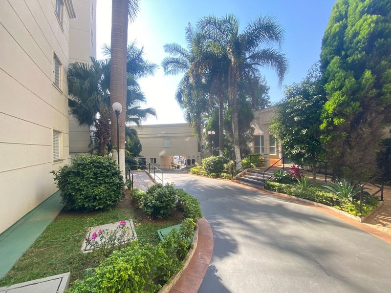 Apartamento 66,85m² no Jardim Vergueiro 3 dorm 1 vaga Avenida Padre Arlindo Vieira São Paulo - 
