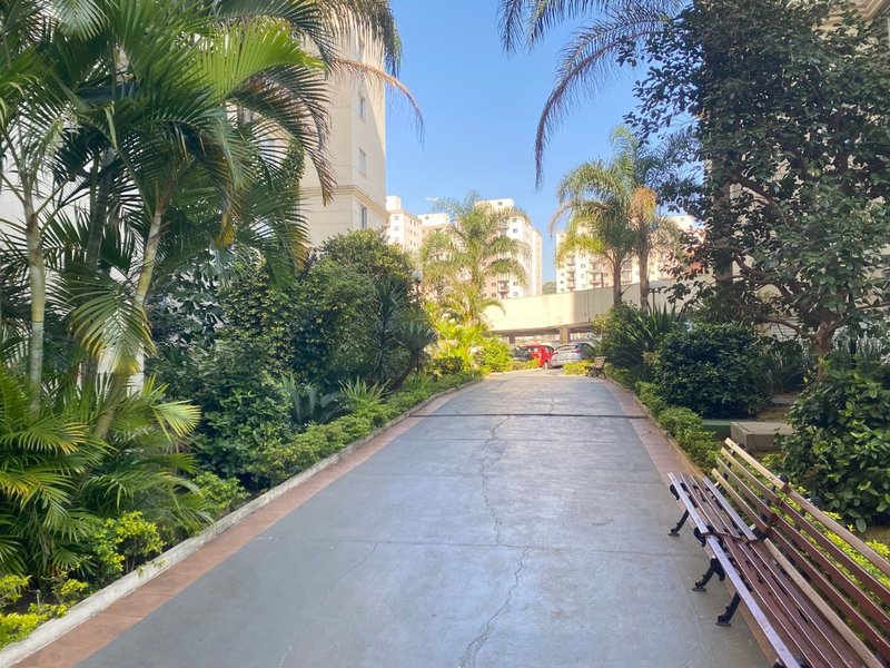 Apartamento 66,85m² no Jardim Vergueiro 3 dorm 1 vaga Avenida Padre Arlindo Vieira São Paulo - 