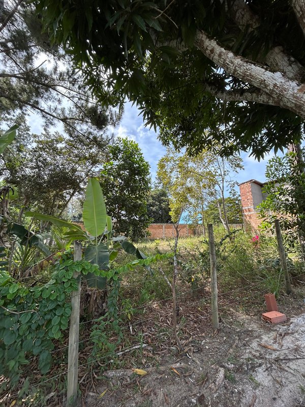 Terreno no Bairro Mangabeira Mangabeira Porto Seguro - 