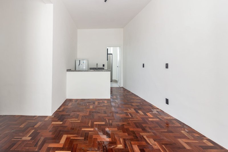 Studio Metrô Santa Cecília 32m² sem depósito e ACEITA PET Rua Ana Cintra São Paulo - 