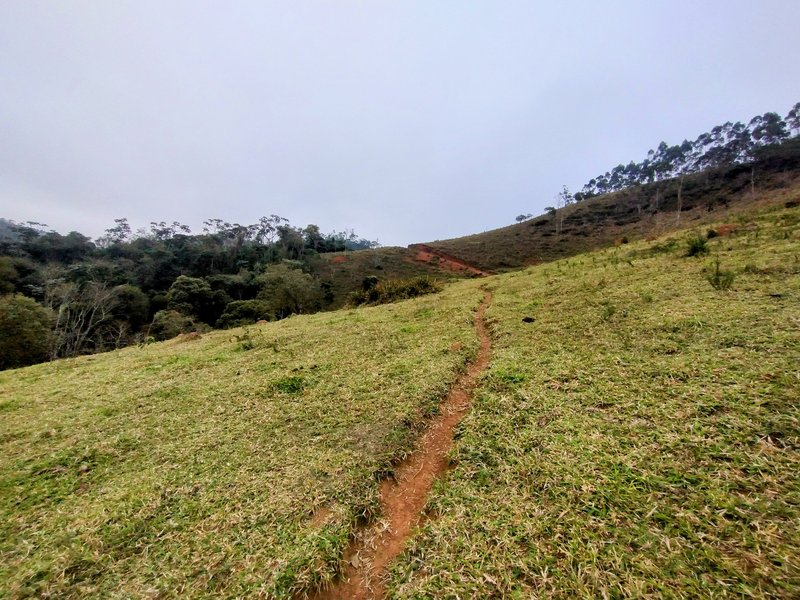 Terreno com 5 alqueires à venda na Boa Vista  Igaratá - 