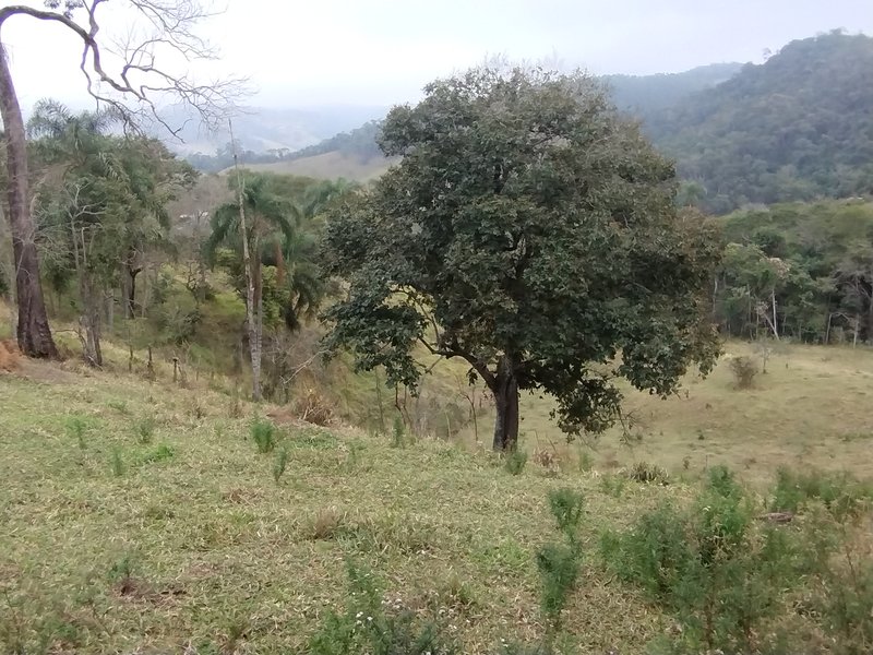 Terreno com 5 alqueires à venda na Boa Vista  Igaratá - 