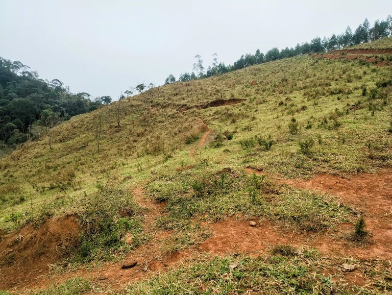 Terreno com 5 alqueires à venda na Boa Vista  Igaratá - 