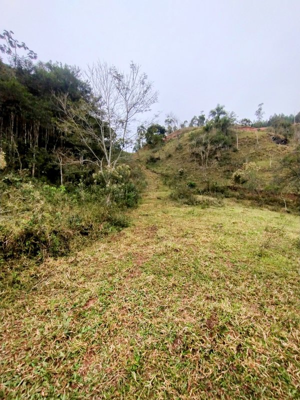 Terreno com 5 alqueires à venda na Boa Vista  Igaratá - 