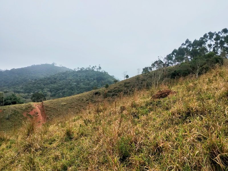 Terreno com 5 alqueires à venda na Boa Vista  Igaratá - 
