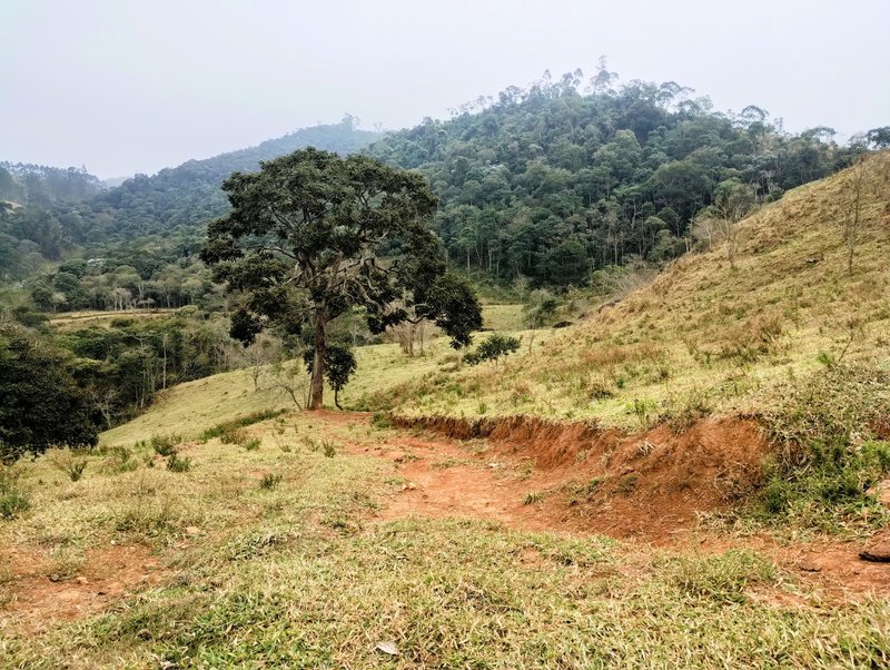 Terreno com 5 alqueires à venda na Boa Vista  Igaratá - 