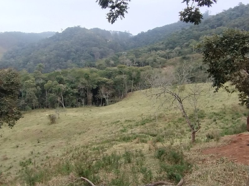 Terreno com 5 alqueires à venda na Boa Vista  Igaratá - 