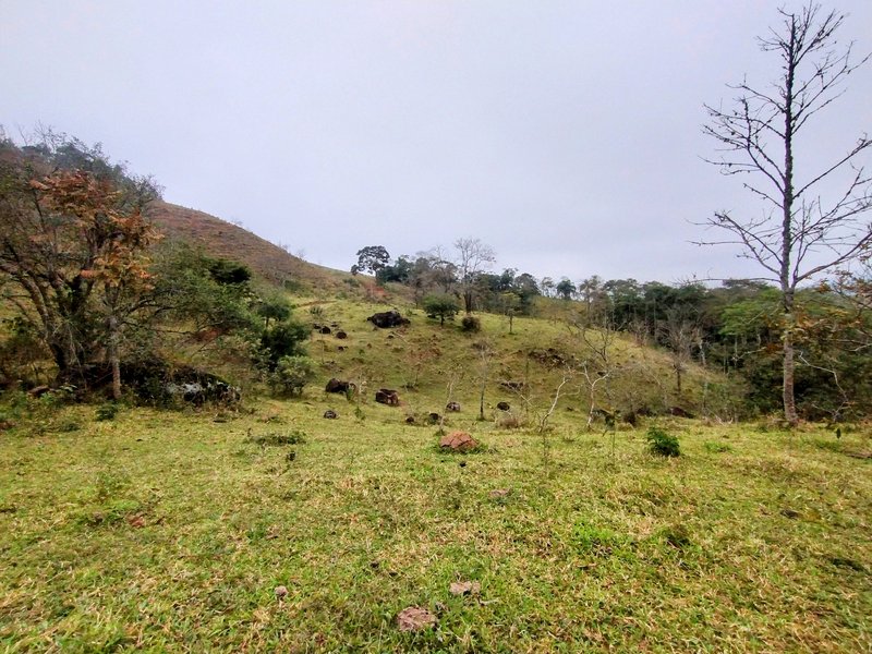 Terreno com 5 alqueires à venda na Boa Vista  Igaratá - 