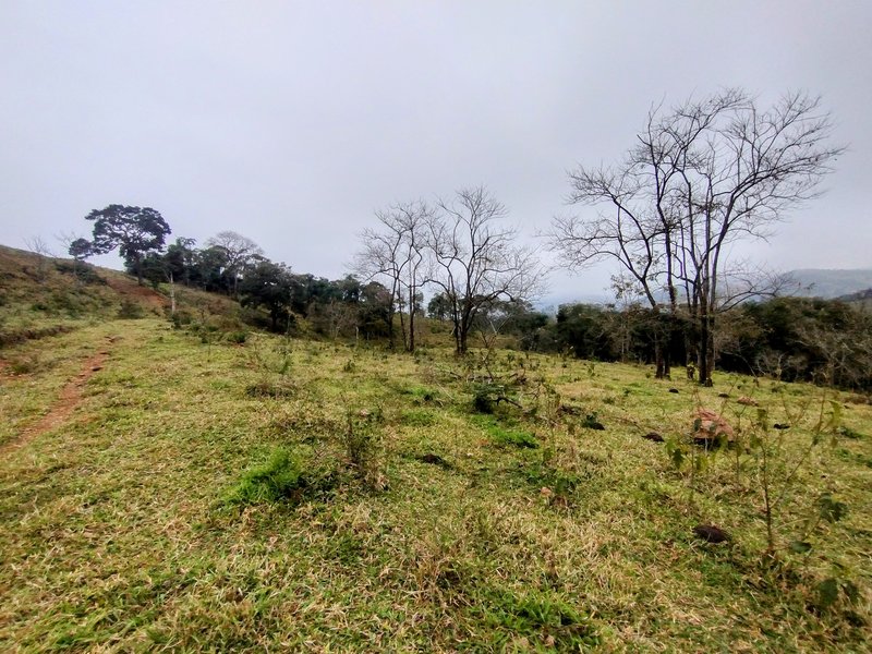 Terreno com 5 alqueires à venda na Boa Vista  Igaratá - 