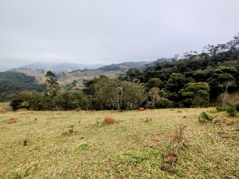 Terreno com 5 alqueires à venda na Boa Vista  Igaratá - 