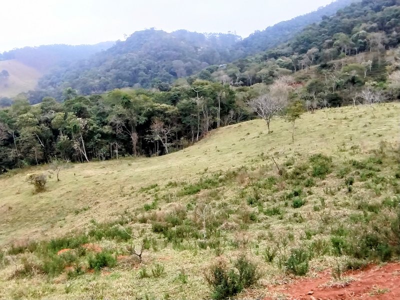 Terreno com 5 alqueires à venda na Boa Vista  Igaratá - 