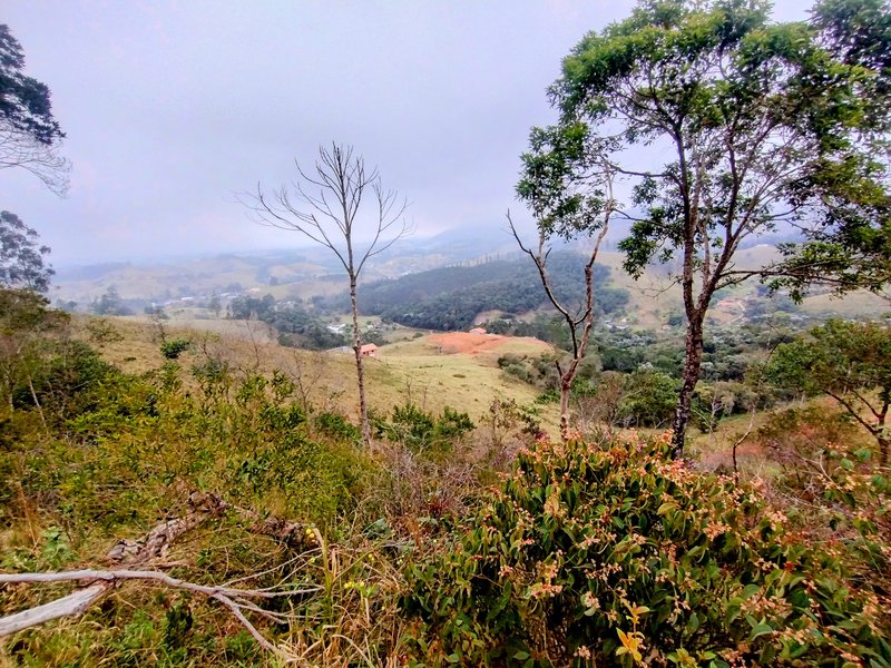 Terreno com 5 alqueires à venda na Boa Vista  Igaratá - 