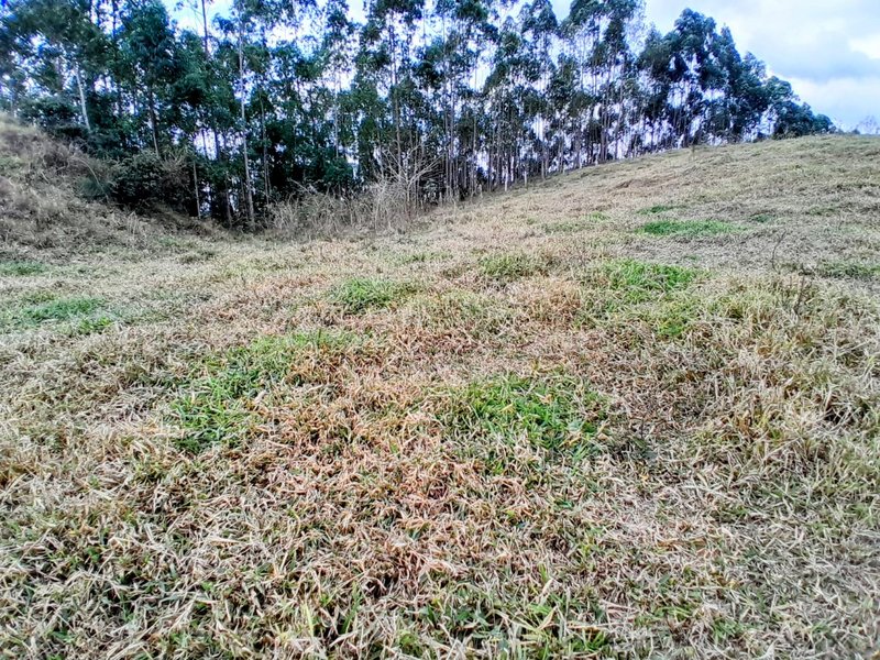 Terreno com 5 alqueires à venda na Boa Vista  Igaratá - 