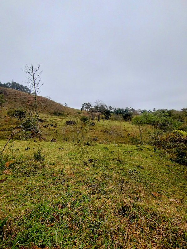 Terreno com 5 alqueires à venda na Boa Vista  Igaratá - 