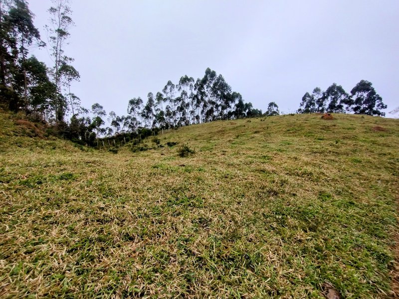 Terreno com 5 alqueires à venda na Boa Vista  Igaratá - 