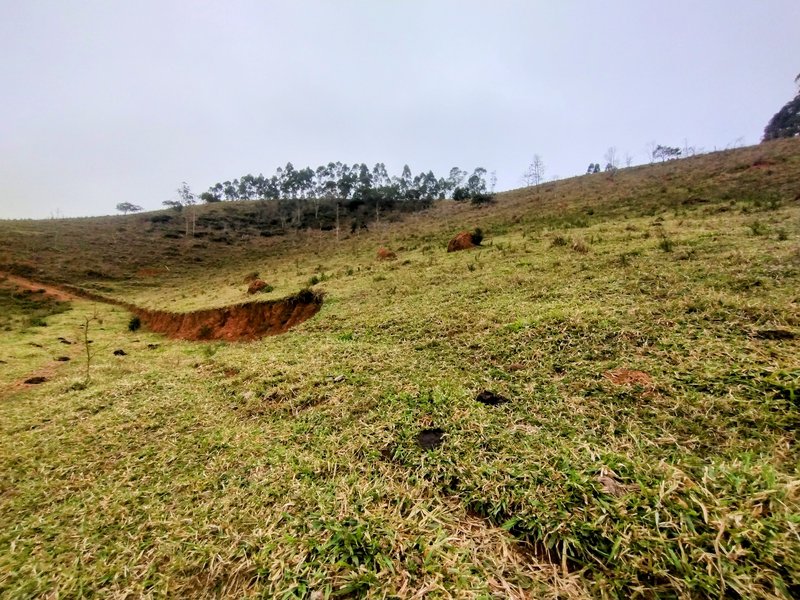 Terreno com 5 alqueires à venda na Boa Vista  Igaratá - 