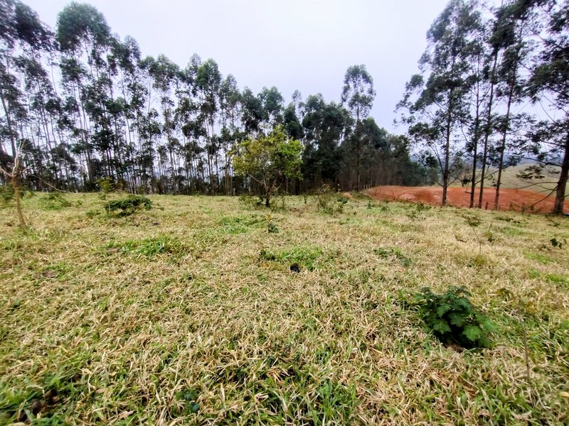 Terreno com 5 alqueires à venda na Boa Vista  Igaratá - 