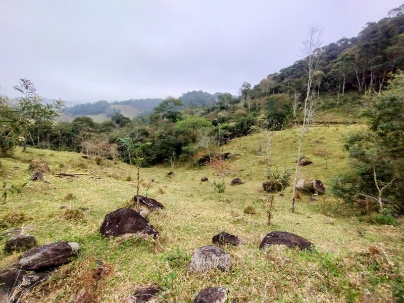 Terreno com 5 alqueires à venda na Boa Vista  Igaratá - 