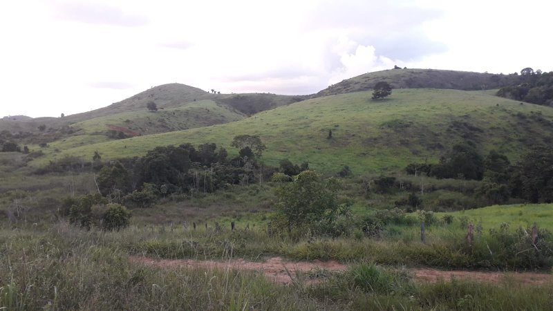Fazenda Dupla Aptidão com localização estratégica no Sul da Bahia Sul da Bahia  Porto Seguro - 