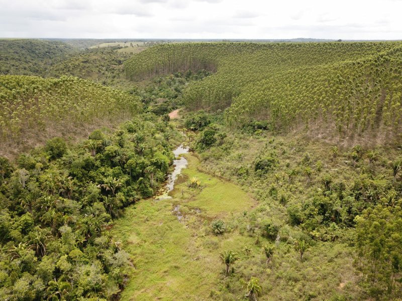Fazenda Dupla Aptidão com localização estratégica no Sul da Bahia Sul da Bahia  Porto Seguro - 