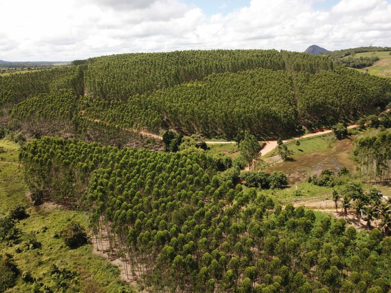 Fazenda Dupla Aptidão com localização estratégica no Sul da Bahia Sul da Bahia  Porto Seguro - 