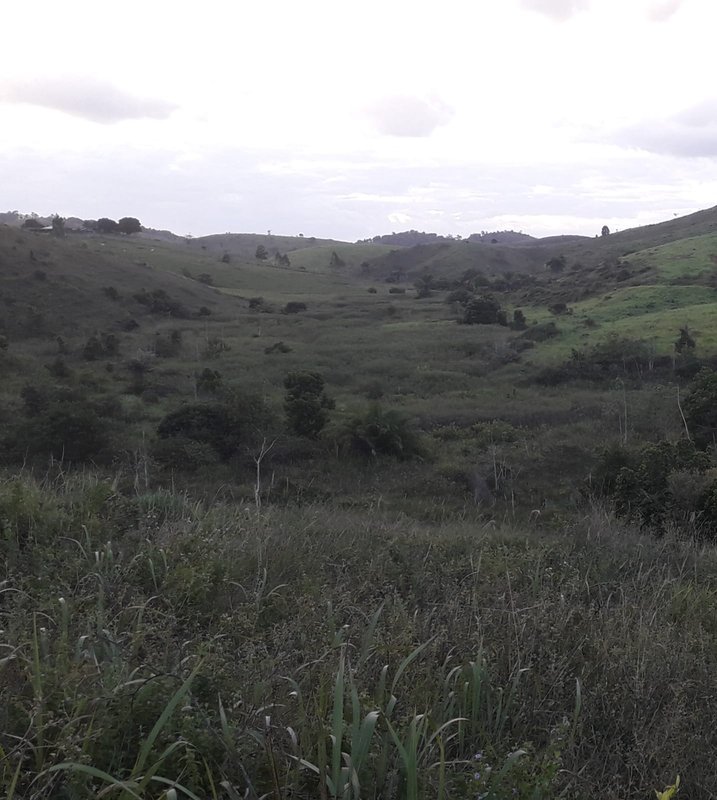 Fazenda Dupla Aptidão com localização estratégica no Sul da Bahia Sul da Bahia  Porto Seguro - 