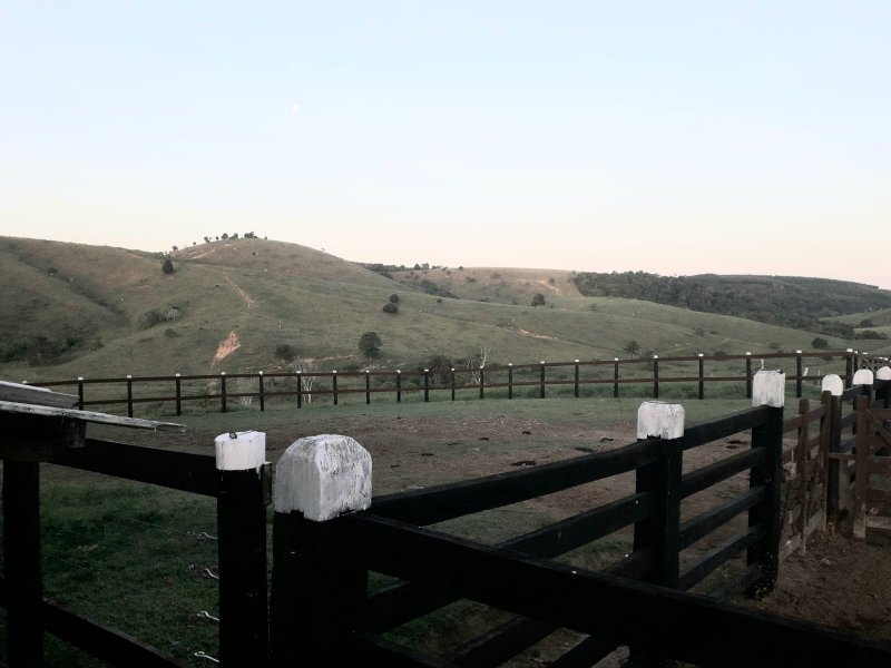 Fazenda Dupla Aptidão com localização estratégica no Sul da Bahia Sul da Bahia  Porto Seguro - 