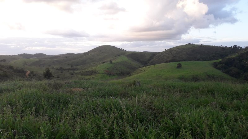Fazenda Dupla Aptidão com localização estratégica no Sul da Bahia Sul da Bahia  Porto Seguro - 