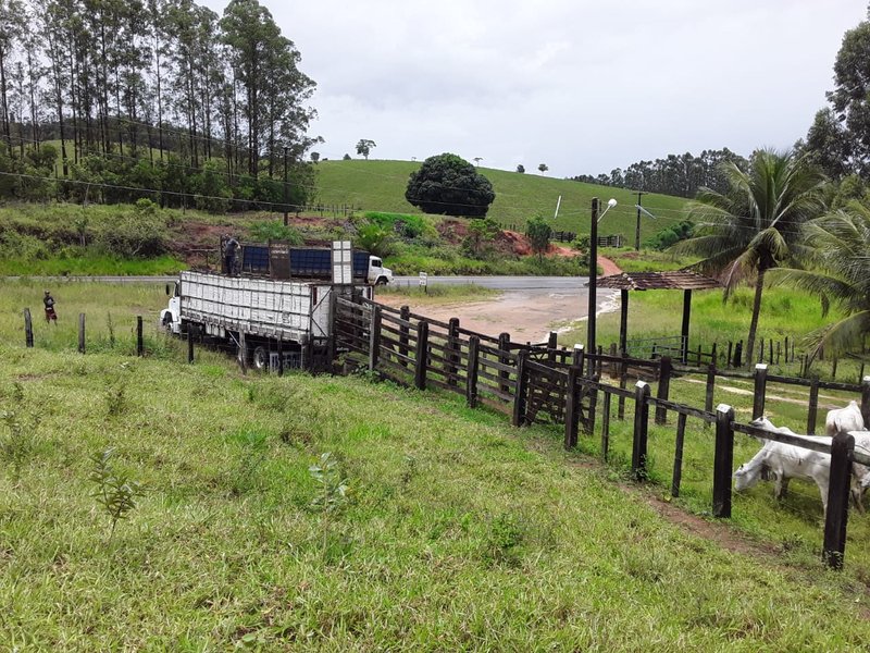 Fazenda Dupla Aptidão com localização estratégica no Sul da Bahia Sul da Bahia  Porto Seguro - 