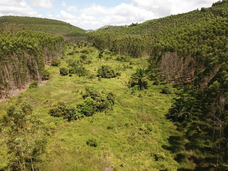 Fazenda Dupla Aptidão com localização estratégica no Sul da Bahia Sul da Bahia  Porto Seguro - 