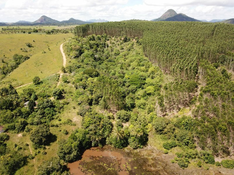 Fazenda Dupla Aptidão com localização estratégica no Sul da Bahia Sul da Bahia  Porto Seguro - 