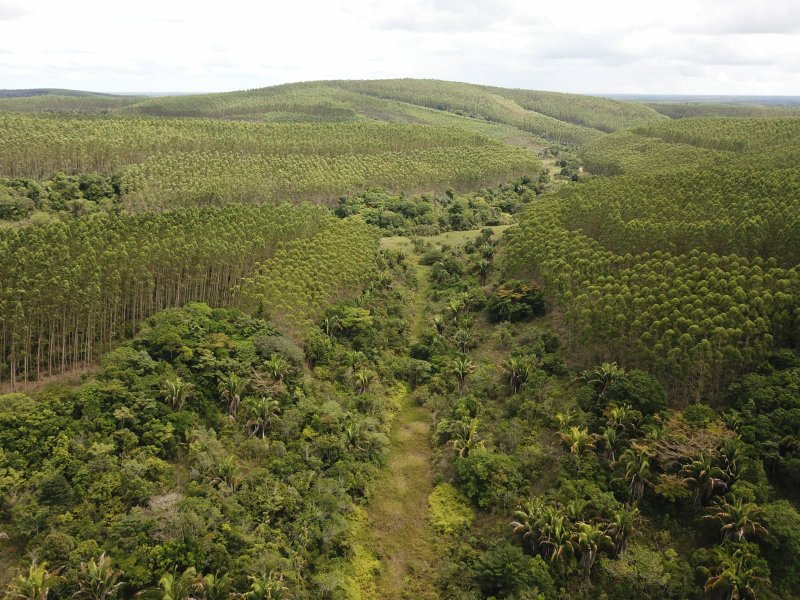 Fazenda Dupla Aptidão com localização estratégica no Sul da Bahia Sul da Bahia  Porto Seguro - 
